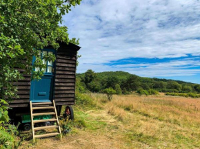 Beautiful secluded Shepherd's hut in NationalPark